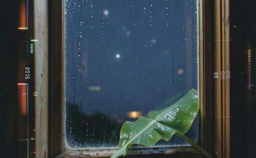 今晚星河很近·芭蕉南亚 封面