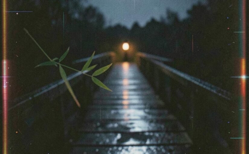 月之摇篮曲·灵婉 封面