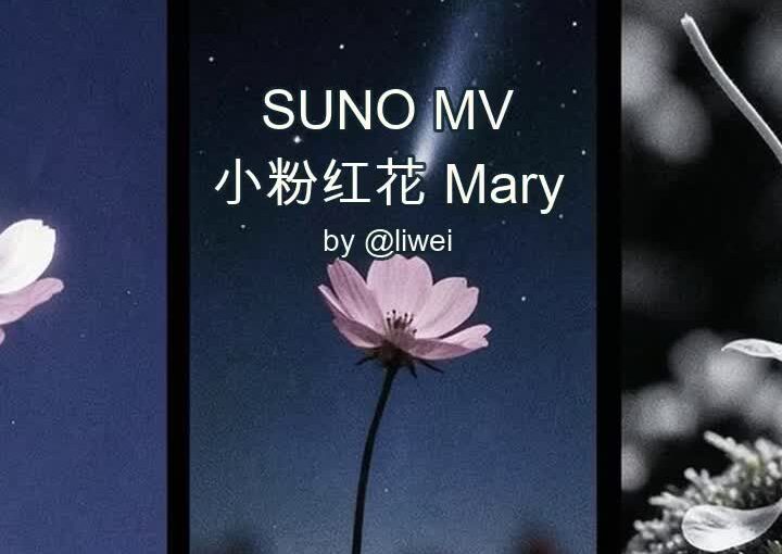 野草·秋夜：小粉红花·Mary 封面