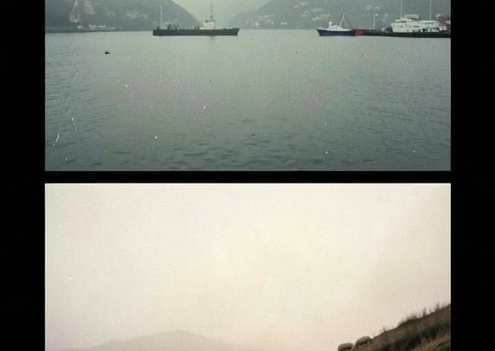 远山把你送回 封面